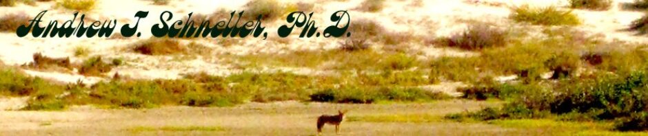 Andrew J. Schneller, Ph.D.