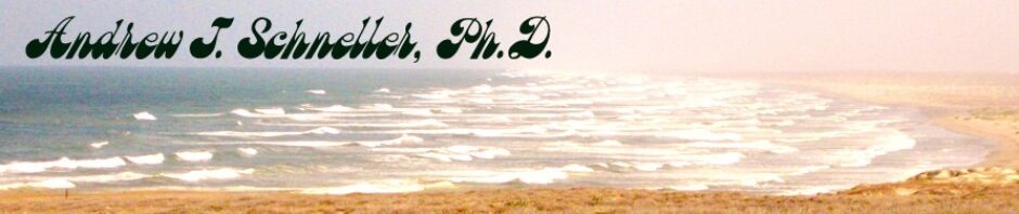 Andrew J. Schneller, Ph.D.
