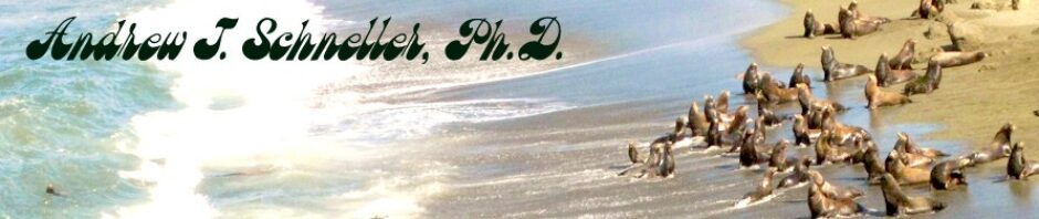 Andrew J. Schneller, Ph.D.