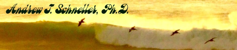 Andrew J. Schneller, Ph.D.