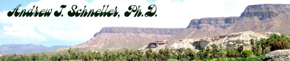 Andrew J. Schneller, Ph.D.