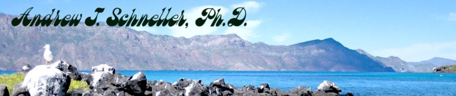 Andrew J. Schneller, Ph.D.
