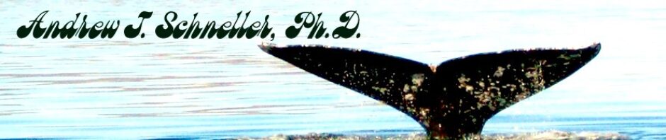 Andrew J. Schneller, Ph.D.